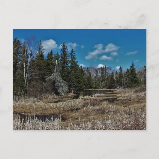 赤い島の池 ポストカード (正面)