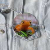 赤い左サンショウウオの新しい自然ボタン 缶バッジ (インサイチュ)