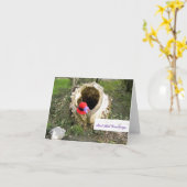 赤い帽子の挨拶Notecard カード (黄色い花)