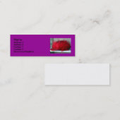 赤い帽子 スキニー名刺 (正面/裏面)