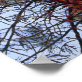 赤い幹を持つ松(詳細) ポスター (角)