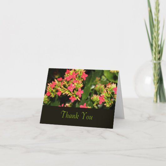 赤い庭の花，サンキューカード サンキューカード (正面)