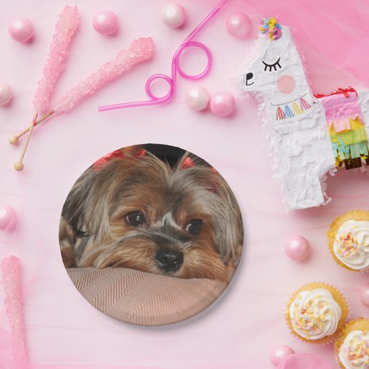赤い弓とのかわいいヨークシャテリアのヨークシャーテリア ペーパープレート (パーティー)