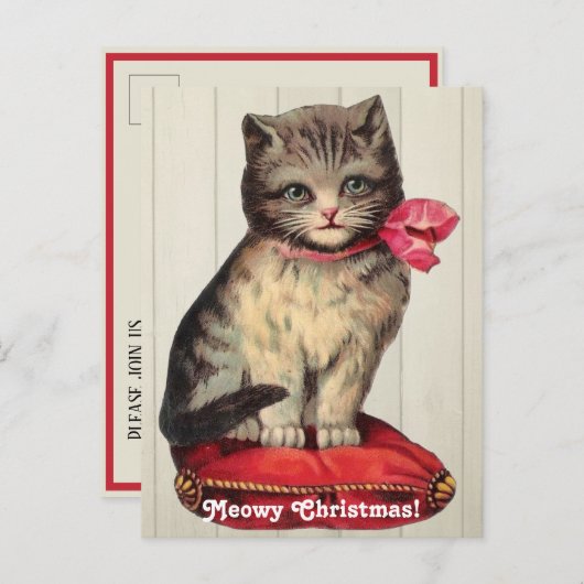 赤い弓を着て座るクリスマスの子猫 インビテーションポストカード (正面/裏面)