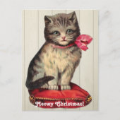 赤い弓を着て座るクリスマスの子猫 インビテーションポストカード (正面)