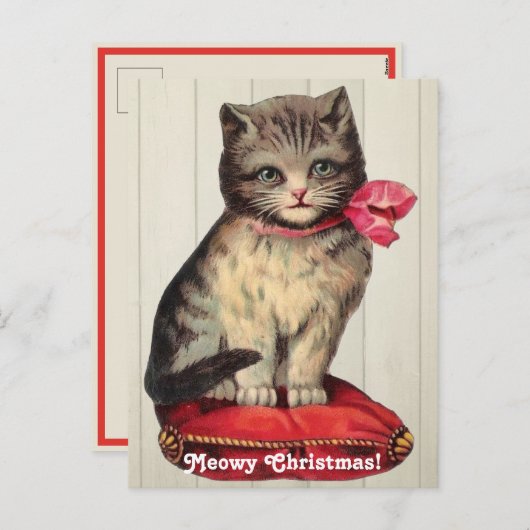 赤い弓を着て座るクリスマスの子猫 シーズンポストカード (正面/裏面)