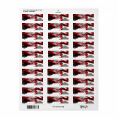 赤い影迷彩柄 ラベル (フルシート)