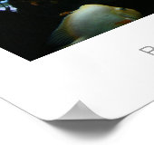 赤い悪魔のシクリッド ポスター (角)