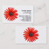 赤い悪魔 – 白 名刺 (正面/裏面)