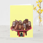 赤い手押し車 カード (黄色い花)