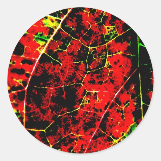 赤い抽象芸術 ラウンドシール (正面)