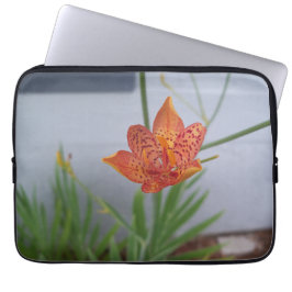 赤い斑点のあるオレンジ色のブラックベリーリリーの写真 ラップトップスリーブ