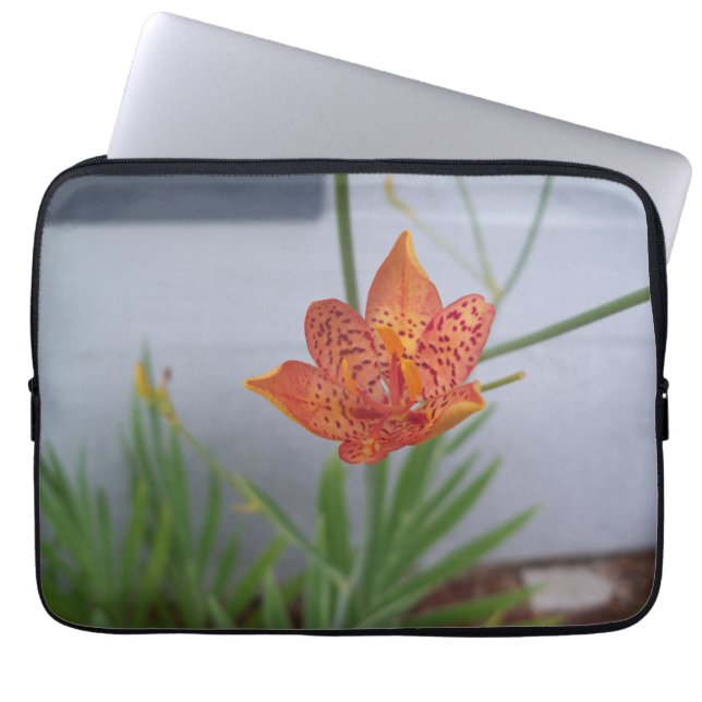 赤い斑点のあるオレンジ色のブラックベリーリリーの写真 ラップトップスリーブ (正面)