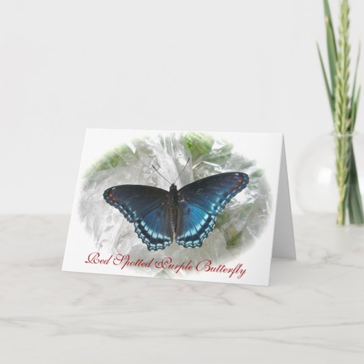 赤い斑点のある紫の蝶のノートカード カード (正面)