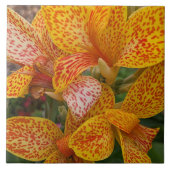 赤い斑点のある黄色のカンナの花 フローラル タイル (正面)