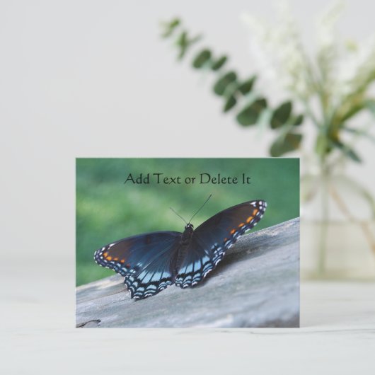 赤い斑点の紫色の蝶のポストカード ポストカード (スタンド正面)