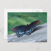 赤い斑点の紫色の蝶のポストカード ポストカード (正面/裏面)