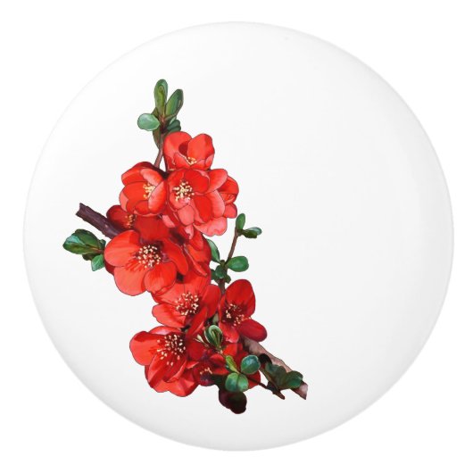 赤い日本のクインズブロッサムホワイト セラミックノブ (正面)