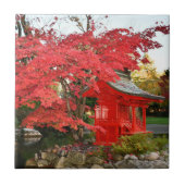 赤い日本の楓と庭の神社 タイル (正面)