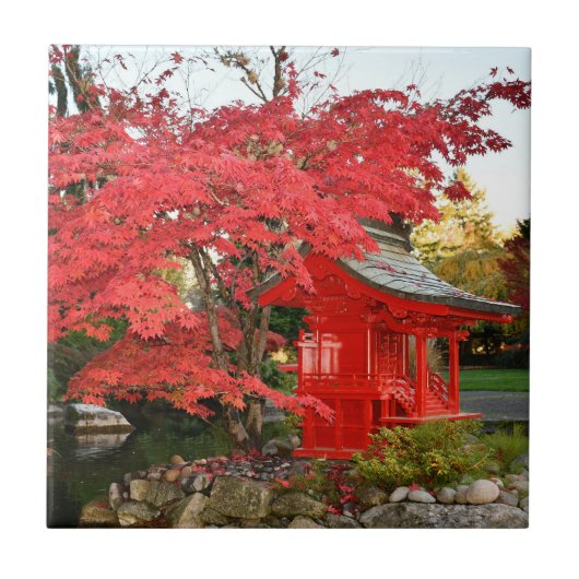 赤い日本の楓と庭の神社 タイル (正面)