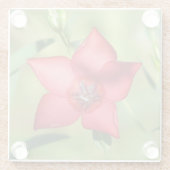 赤い星の花 緑の葉 ガラスコースター (裏面)