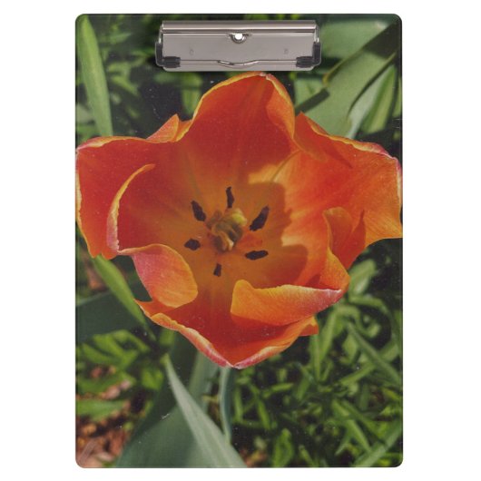 赤い春の花 クリップボード (正面)