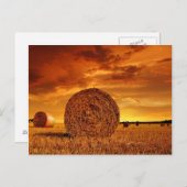 赤い曇り空が付いている農地のわらのベール ポストカード (正面/裏面)