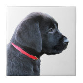 赤い服 – Black Lab タイル (正面)