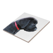 赤い服 – Black Lab タイル (側面)