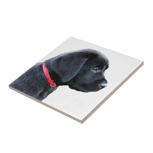 赤い服 – Black Lab タイル (側面)