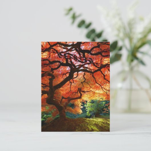 赤い木の丘 ポストカード (スタンド正面)