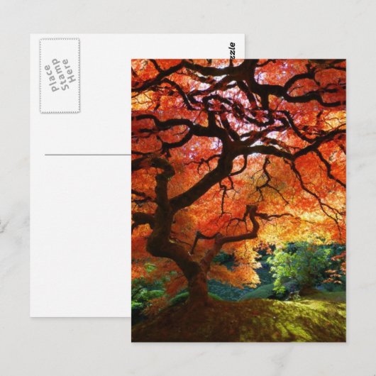 赤い木の丘 ポストカード (正面/裏面)