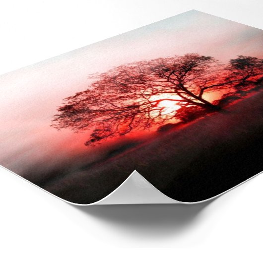 赤い木 ポスター (角)