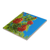 赤い果実が付いているナナカマド木 タイル (側面)