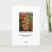 赤い果実が付いている季節の挨拶の休日カード シーズンカード (裏面)