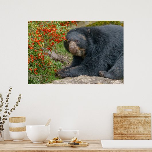 赤い果実が漂うメガネベア ポスター (キッチン)