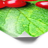 赤い果実と雨粒の接近最大8x10 フォトプリント            (角)