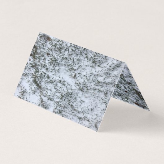 赤い果実のリボンの雪 (裏面)