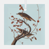 赤い果実を持つHermit Thrush Audubon Bird ガラスオーナメント (裏面)