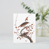 赤い果実を持つHermit Thrush Audubon Bird ポストカード (スタンド正面)