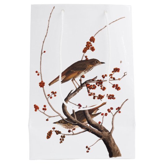赤い果実を持つHermit Thrush Audubon Bird ミディアムペーパーバッグ (裏面)