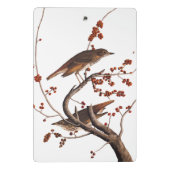 赤い果実を持つHermit Thrush Audubon Bird ミニクリップボード (裏面)