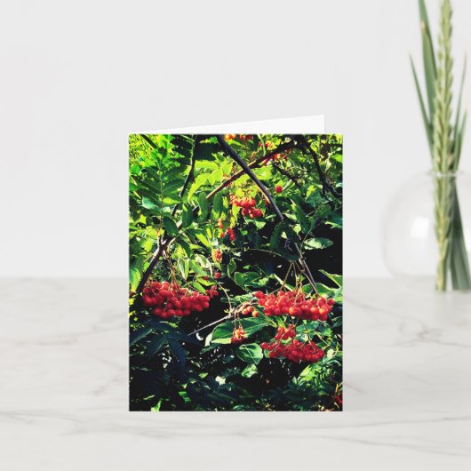 赤い果実 カード (正面)