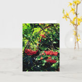 赤い果実 カード (黄色い花)