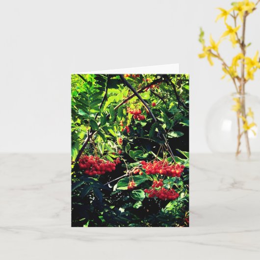 赤い果実 カード (黄色い花)