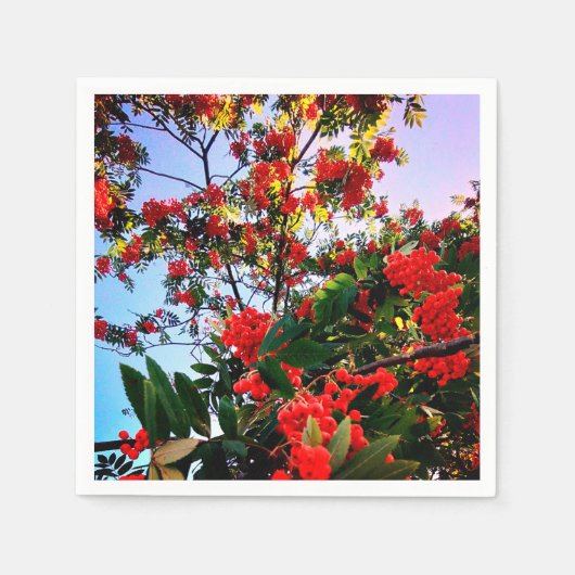 赤い果実 スタンダードカクテルナプキン (正面)