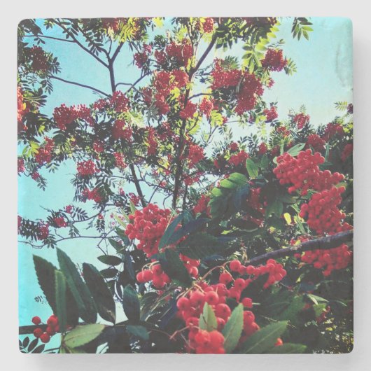 赤い果実 ストーンコースター (正面)