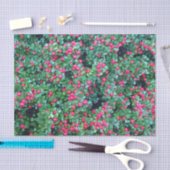 赤い果実 薄葉紙 (クラフト)