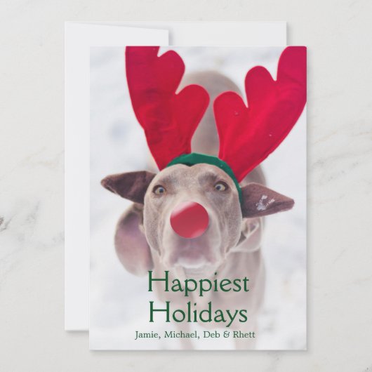 赤い枝角のヘッドバンドを身に着けているWeimaraner大人の犬 シーズンカード (正面)