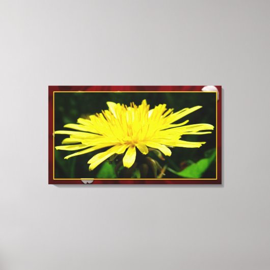 赤い枠の野生の黄色いタンポポの花 キャンバスプリント (正面)